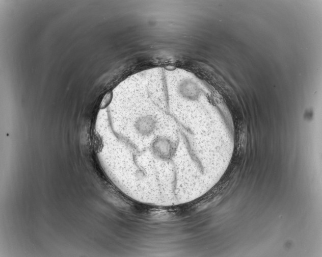 X0000098230616200805221712