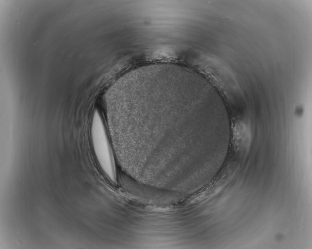 X0000098230617200805221712