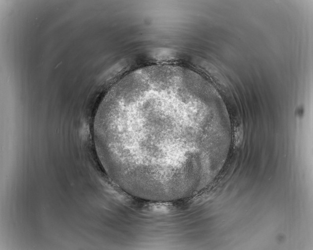 X0000098230618200805221712