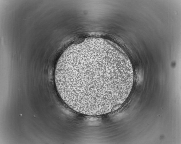 X0000098230619200805221712