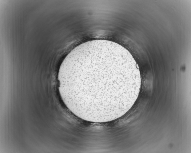 X0000098230620200805221712