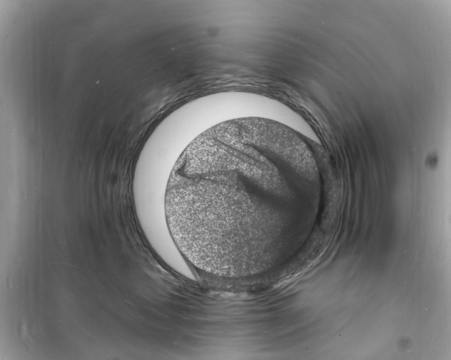 X0000098230621200805221712