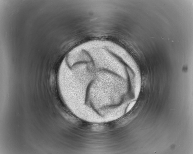 X0000098230623200805221712