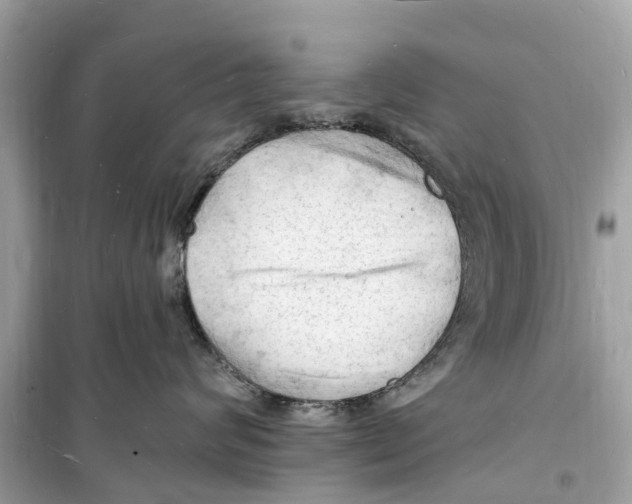 X0000098230624200805221712