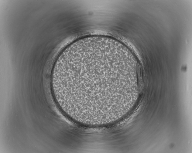 X0000098230625200805221711