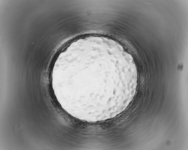 X0000098230628200805221711