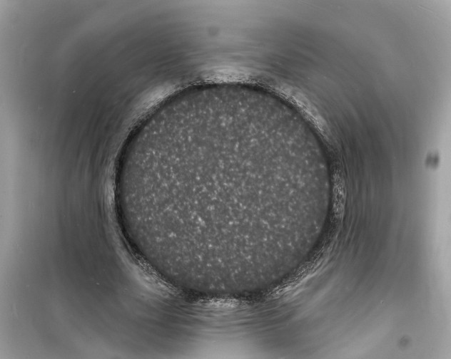 X0000098230631200805221711