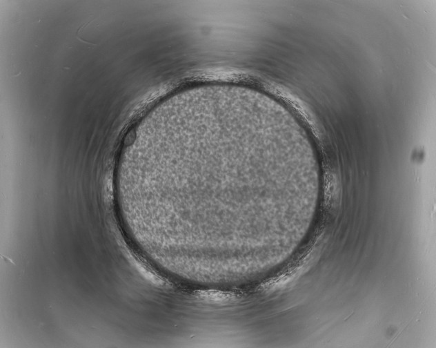 X0000098230633200805221711