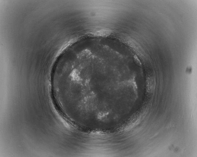 X0000098230634200805221711