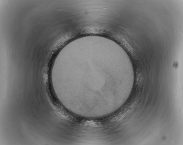 X0000098230635200805221711