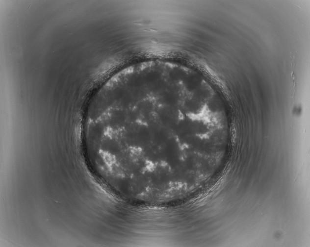 X0000098230637200805221711