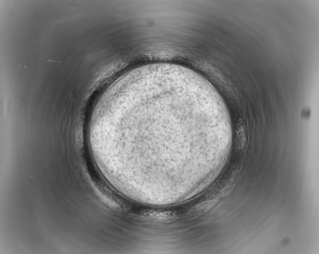 X0000098230638200805221711