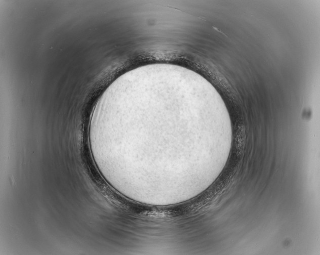 X0000098230639200805221711