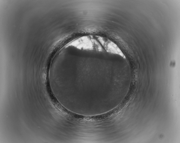 X0000098230640200805221711