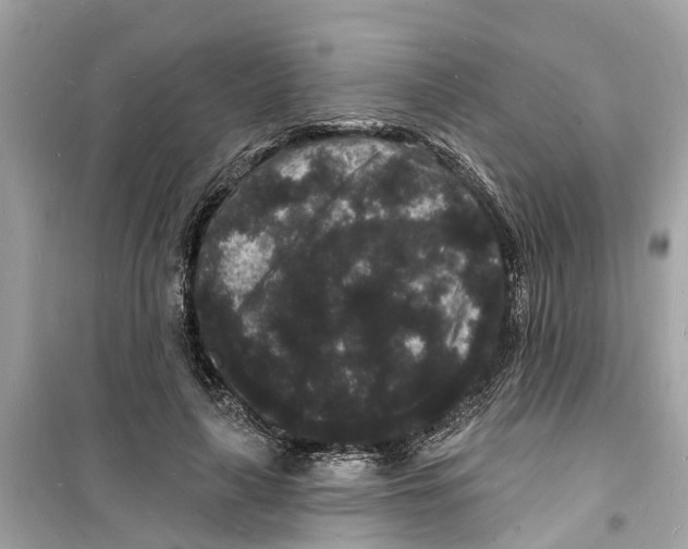 X0000098230643200805221712