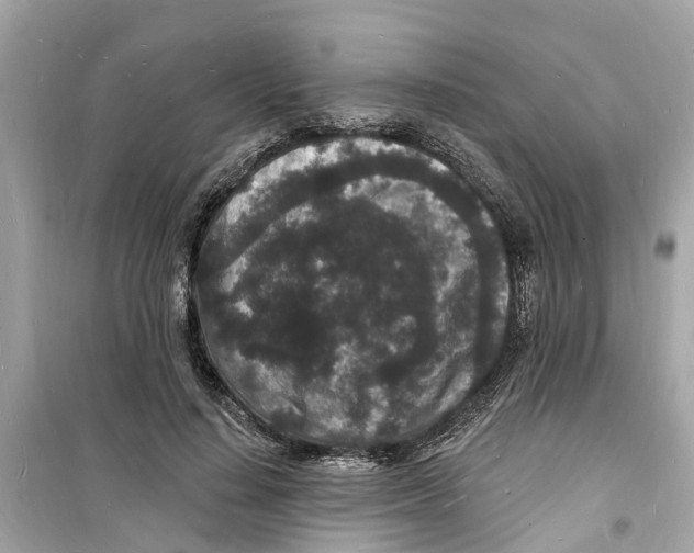 X0000098230644200805221712