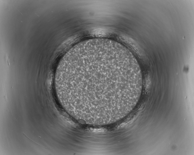 X0000098230645200805221712