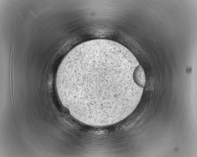 X0000098230646200805221712