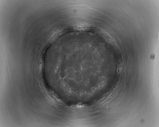 X0000098230647200805221712