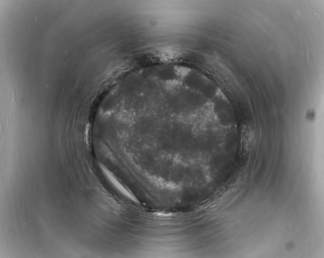 X0000098230650200805221712