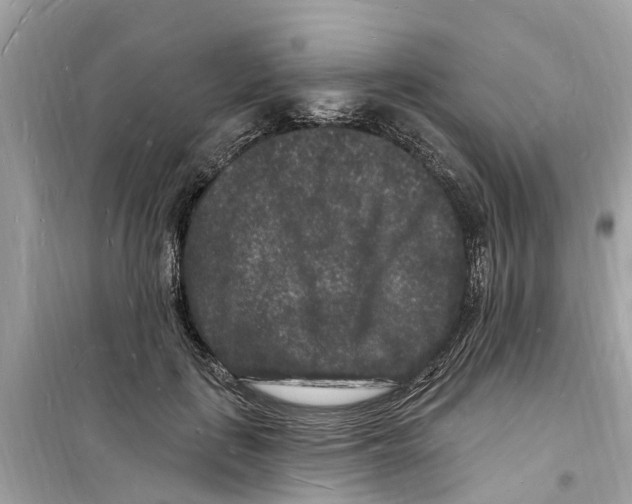 X0000098230651200805221712