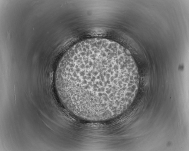 X0000098230652200805221712