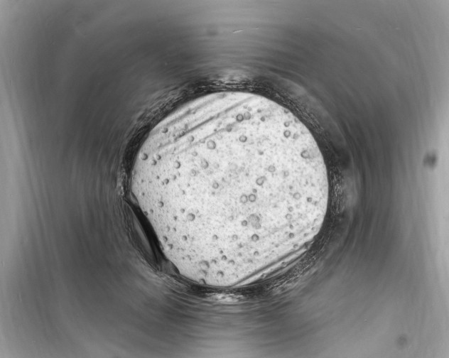 X0000098230654200805221712