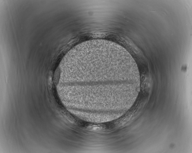 X0000098230655200805221712