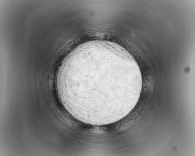 X0000098230656200805221712