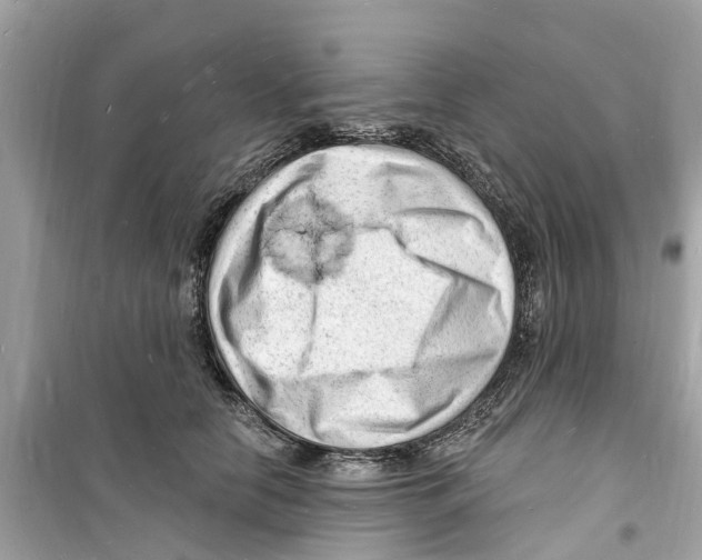 X0000098230658200805221712