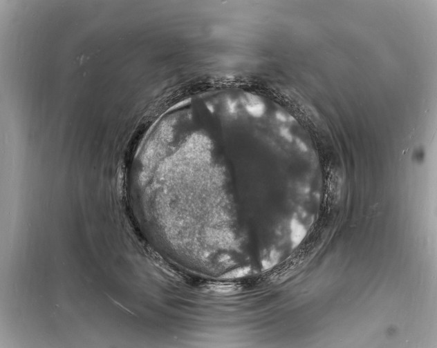 X0000098230659200805221712