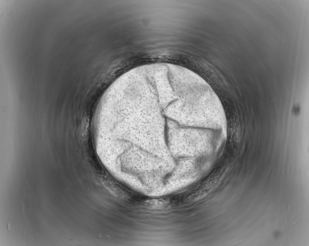 X0000098230660200805221712