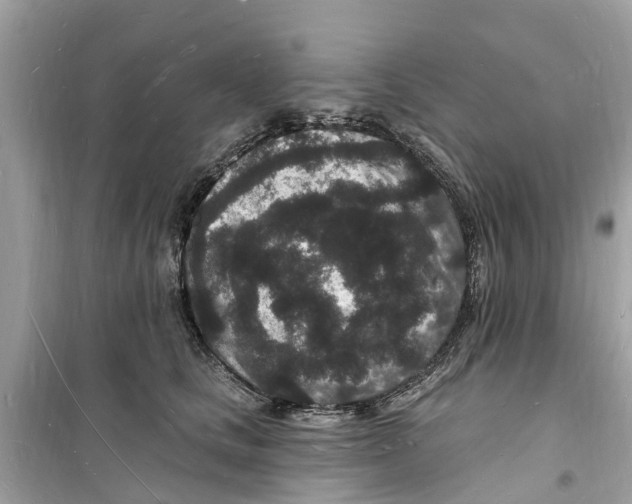 X0000098230661200805221712