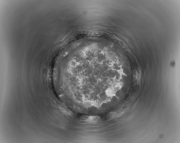 X0000098230663200805221712