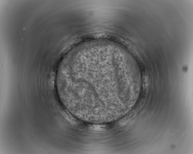 X0000098230664200805221712