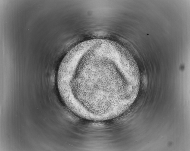 X0000098230668200805221712