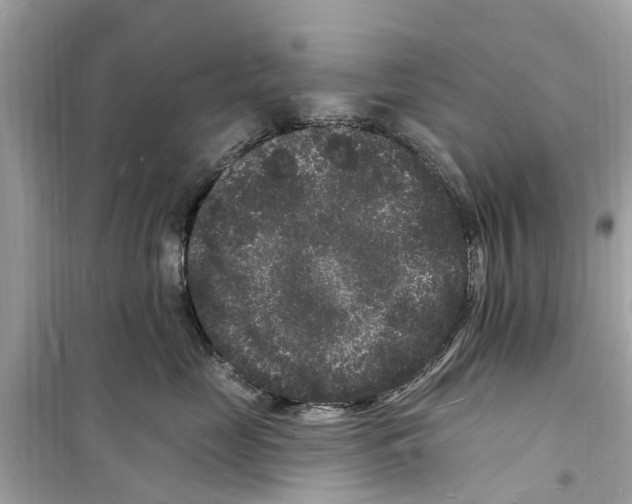 X0000098230669200805221712