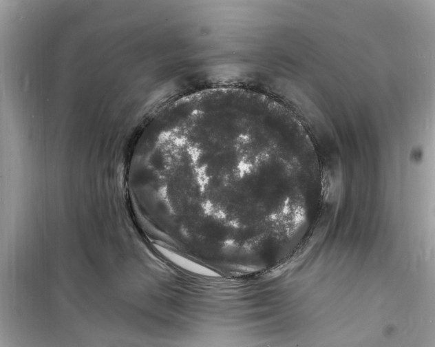 X0000098230670200805221712