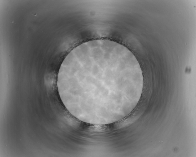 X0000098230672200805221712