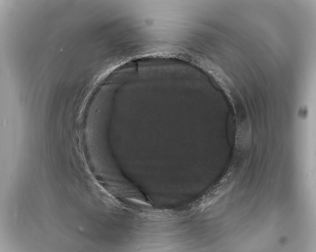 X0000098230673200805221711