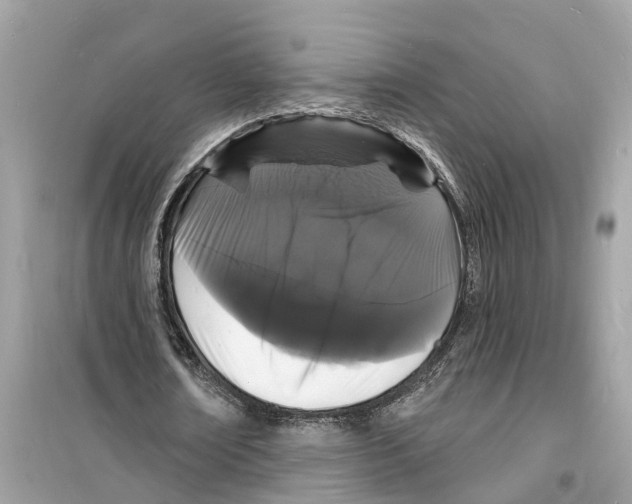 X0000098230674200805221711