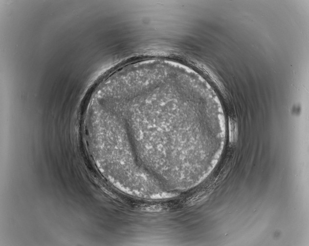 X0000098230675200805221711