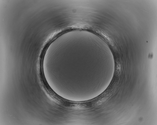 X0000098230678200805221711