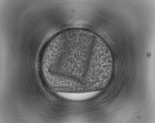 X0000098230680200805221711