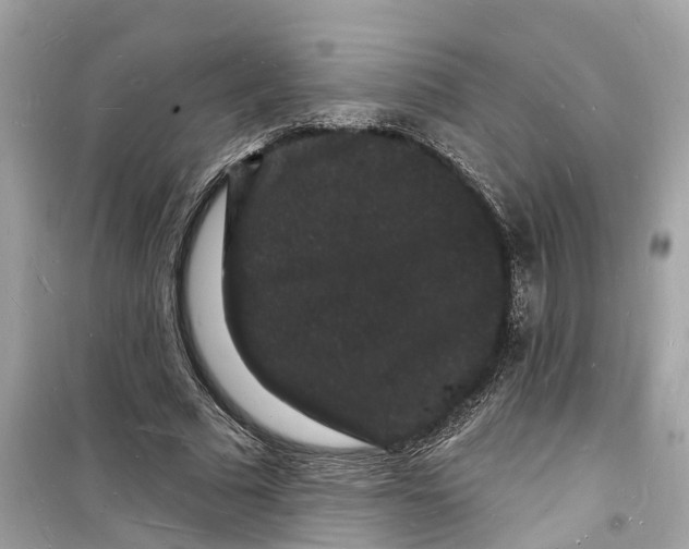 X0000098230681200805221711