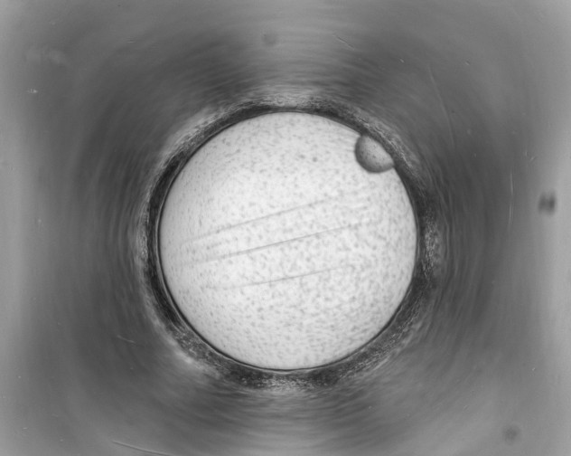 X0000098230682200805221711