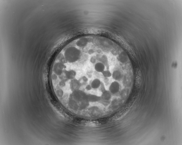 X0000098230683200805221711