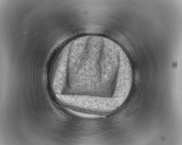 X0000098230684200805221711