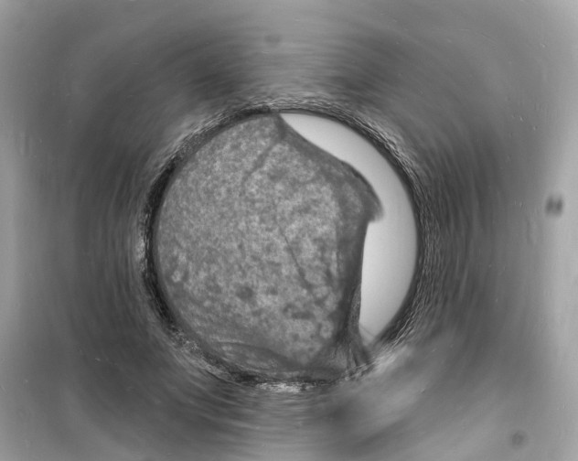 X0000098230687200805221711