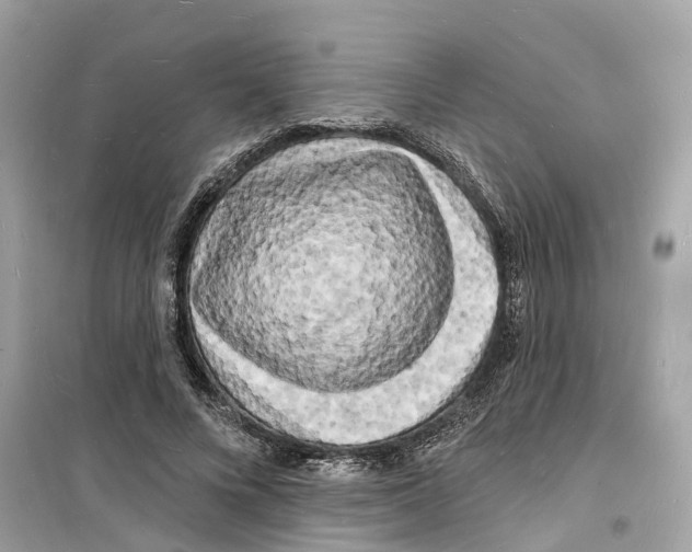 X0000098230688200805221711